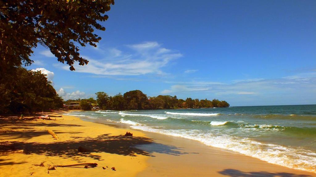 Cabinas Caribe Luna Cahuita Exterior foto